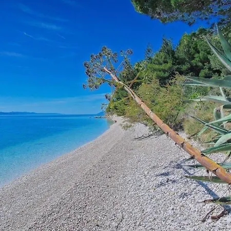 Hébergement de vacances House Ned *