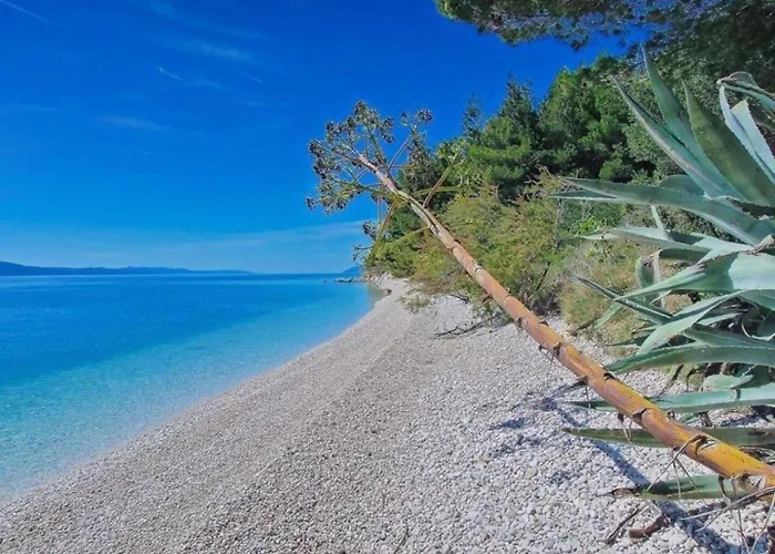 Feriehus House Ned *